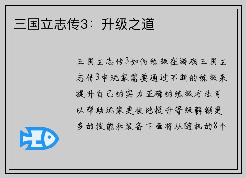 三国立志传3：升级之道
